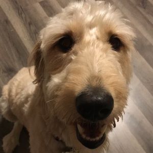 Meet your Posher, Jill